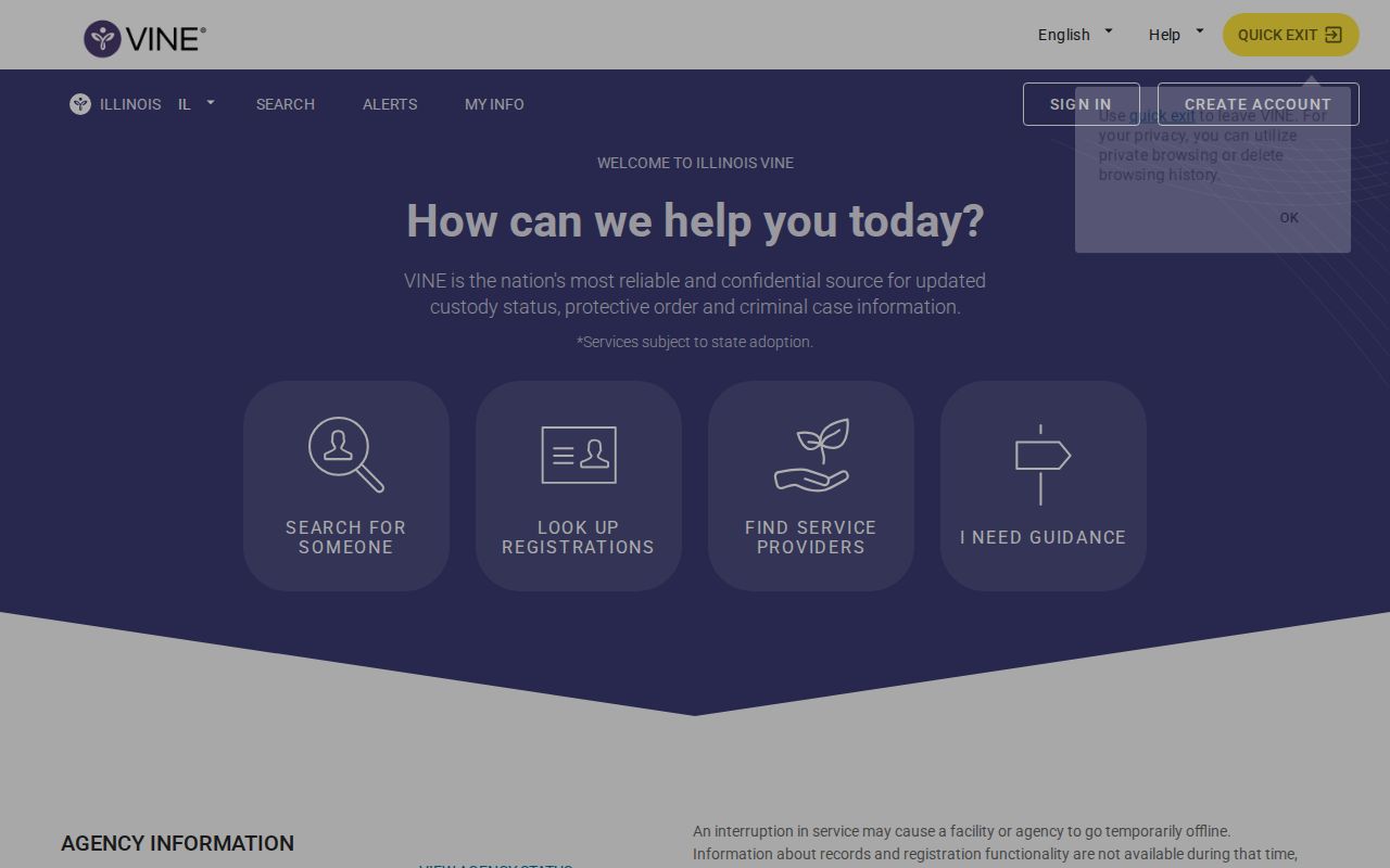 Illinois VINELink custody search interface for Alexander County checks